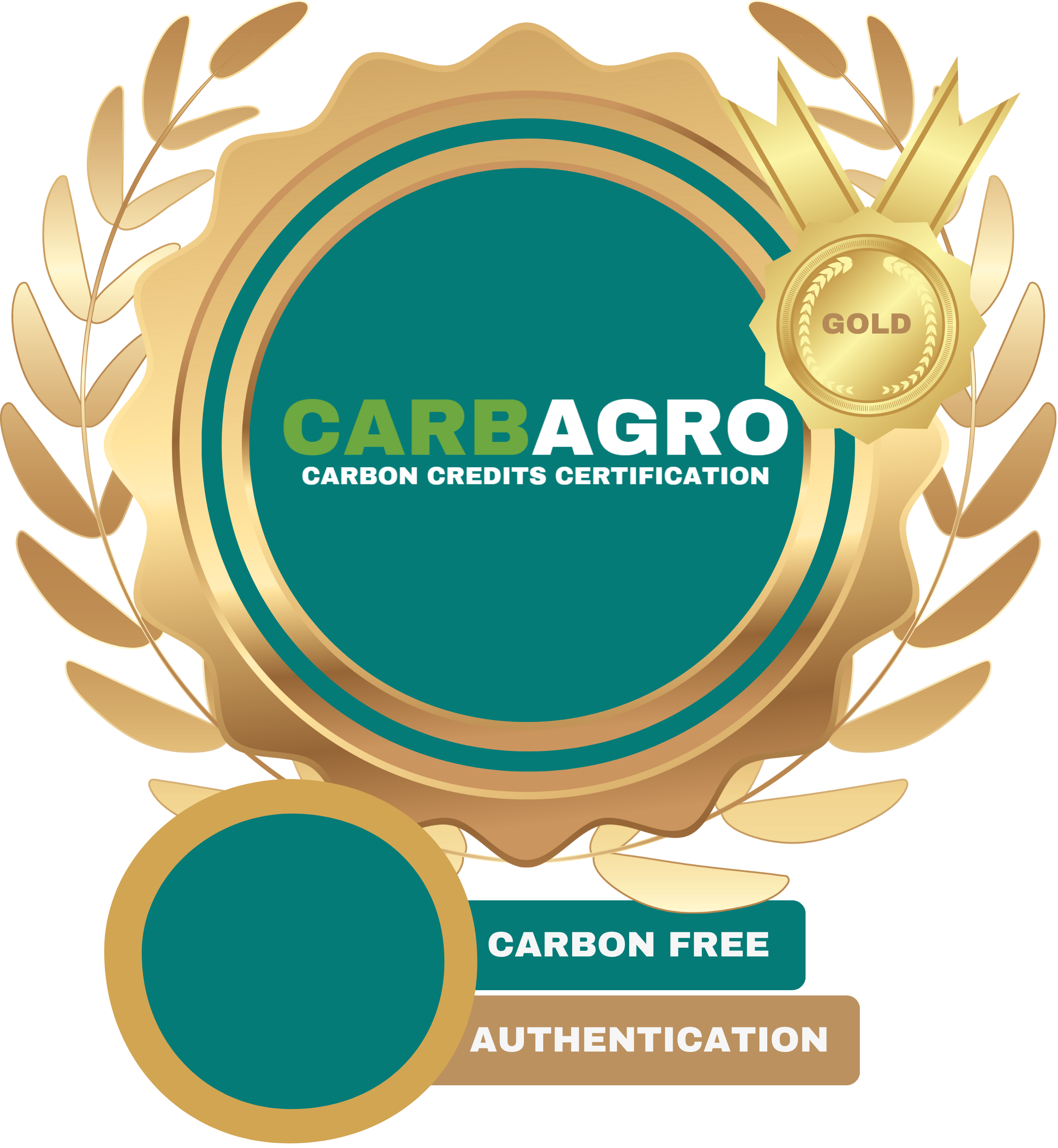 Organization Certificate